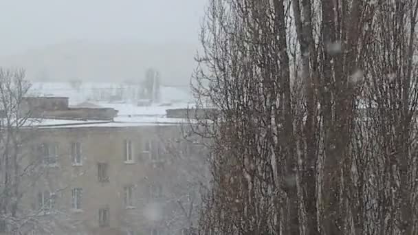 Lkbaharda Şehirde Yağan Kar — Stok video