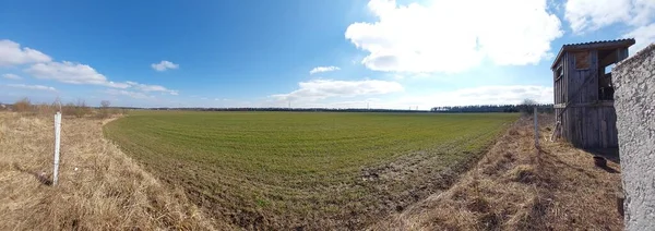 Stock image Panorama of a the green field sown in spring