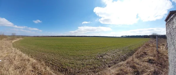 stock image Panorama of a the green field sown in spring