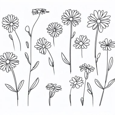 İzole edilmiş papatya çizgisi. Çiçekli bir klişe.