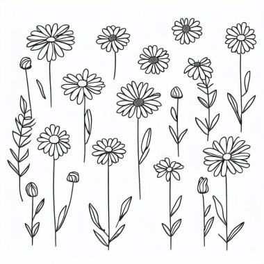 İzole edilmiş papatya çizgisi. Çiçekli bir klişe.