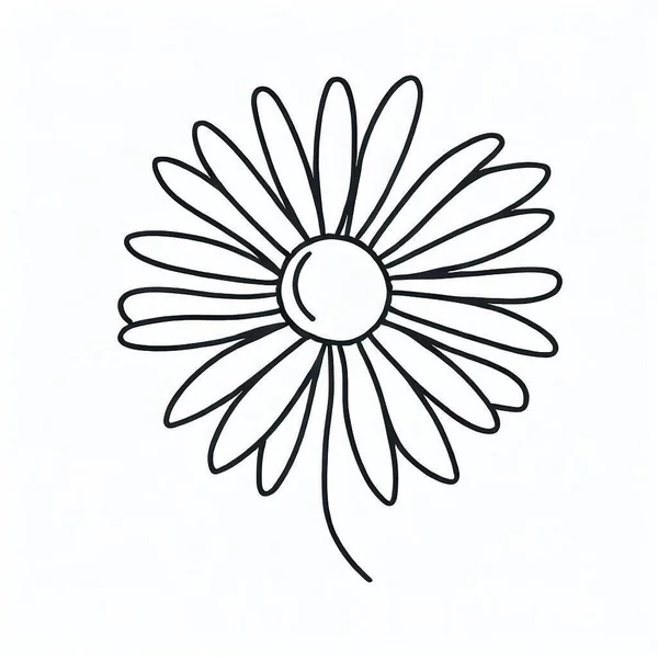 Linha Margarida Isolado Arte Clipart Floral — Fotografia de Stock