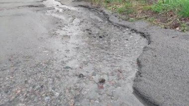 Nehir, sağanak yağışta asfalt üzerine döküldü.