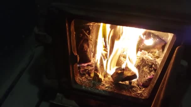 Estufa Leña Ardiendo Casa — Vídeos de Stock