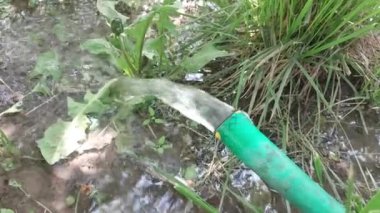 Bahçeyi sulayan bir hortumdan su akıyor.