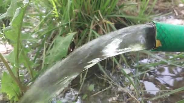 庭に水をやるホースから水が注ぐ — ストック動画