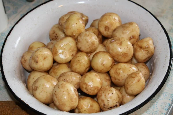 Jonge Verse Kleine Aardappelen Voor Het Koken — Stockfoto