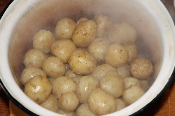 Batatas Pequenas Frescas Jovens Para Cozinhar — Fotografia de Stock