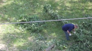 KYIV, UKRAINE - 14 Haziran 2023: Bir işçi eski bir ağacın gövde ve dallarını taşır