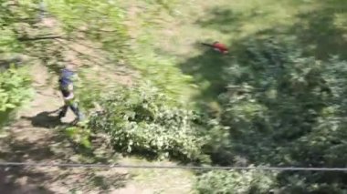 KYIV, UKRAINE - 14 Haziran 2023: Bir işçi eski bir ağacın gövde ve dallarını taşır