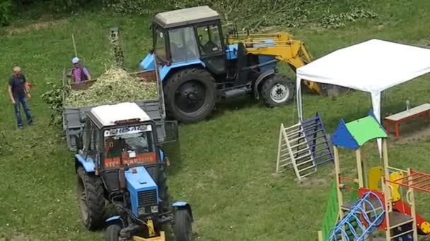 Kyiv Ucrania Junio 2023 Trituradora Ramas Tractor Árbol Aserrado — Vídeo de stock