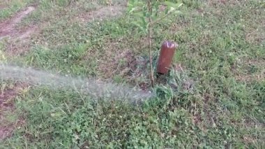 Bahçedeki ağaçları ve çalıları sulamak.