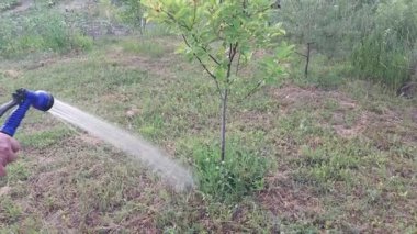 Bahçedeki ağaçları ve çalıları sulamak.