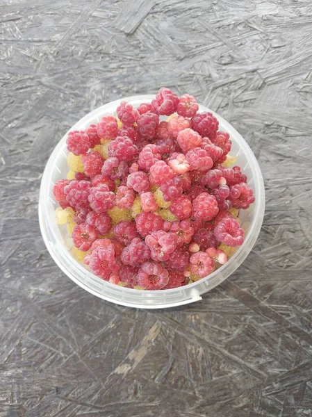 Harvest Berries Collected Bucket — Stock Photo, Image