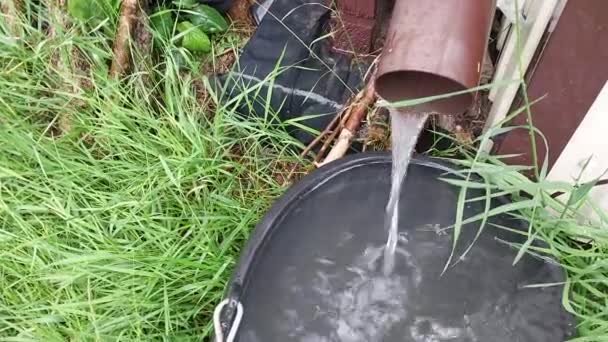 Water Flows Gutter Bucket — Stock Video