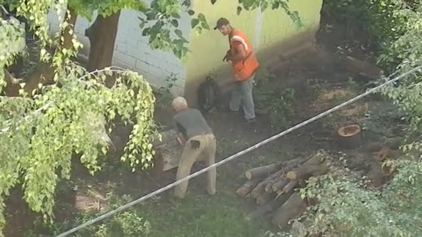 Kyiv Ukraine Temmuz 2023 Şçiler Kesilmiş Ağaçların Kütüklerini Baltayla Taşır — Stok video