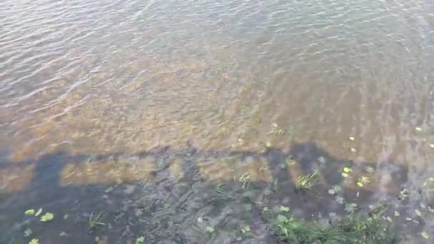 Υφή Του Νερού Του Ποταμού Από Ανάχωμα — Αρχείο Βίντεο