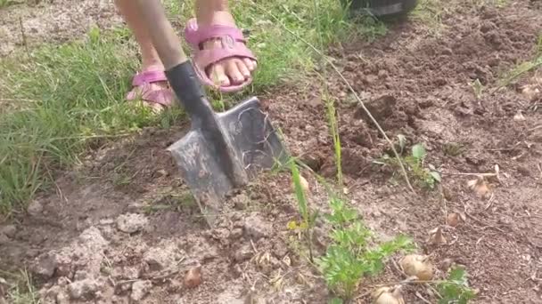 Garden Weeding Hand Tools — Stock Video