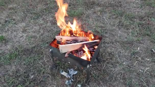 Kozieradka Metalowa Zapłonu Drewna Opałowego Szaszłyka — Wideo stockowe