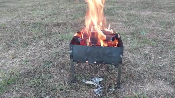 シシュケバブのための薪の点火のための金属ブラジル — ストック動画