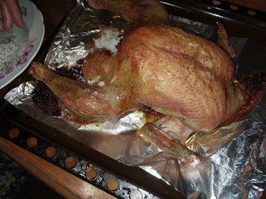 Fırında pişmiş tavuk ve pilav.