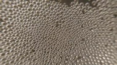 Bir bardak şampanya kabarcıklar içinde