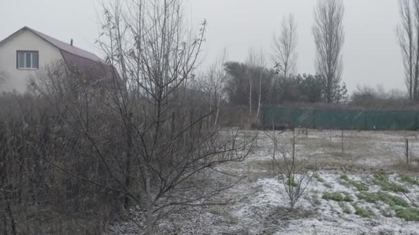 Schnee Bedeckt Den Garten Dorf — Stockvideo