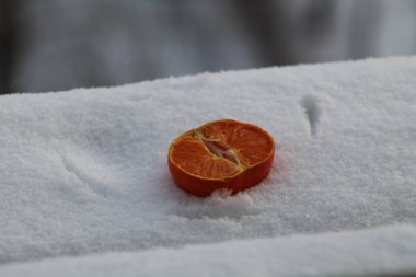 Yarım mandalina karın üzerinde yatıyor.