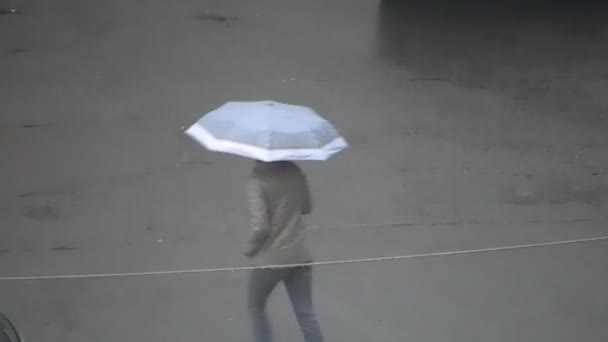 Kiew Ukraine März 2024 Menschen Laufen Regen Unter Einem Regenschirm — Stockvideo
