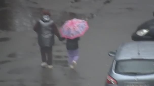 Kyiv Ucrania Marzo 2024 Gente Caminando Por Calle Bajo Paraguas — Vídeo de stock