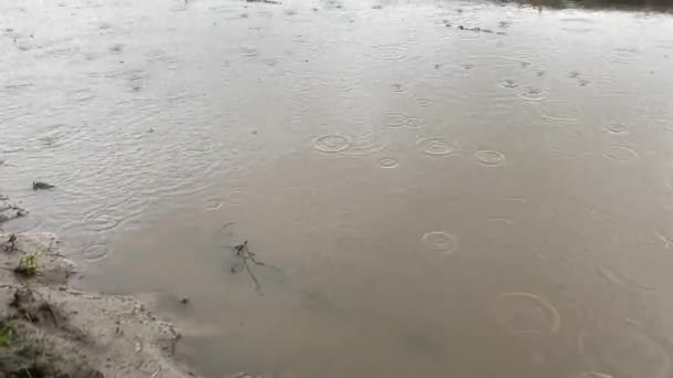 Pfützen Nach Regen Auf Der Straße Einem Feld — Stockvideo