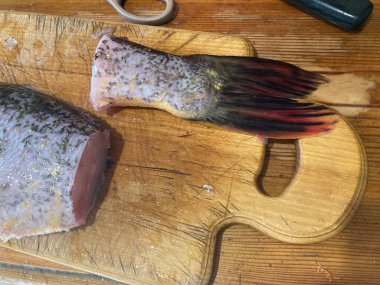 Tatlı su kesme yırtıcı balık turna balığı