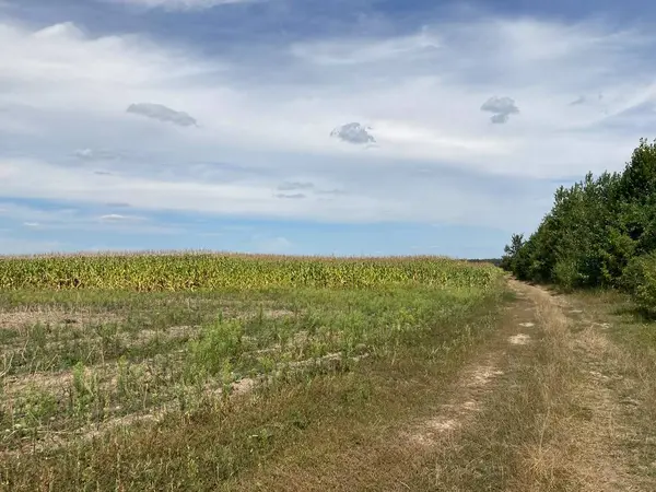 Hasattan sonra bir tarlanın manzarası