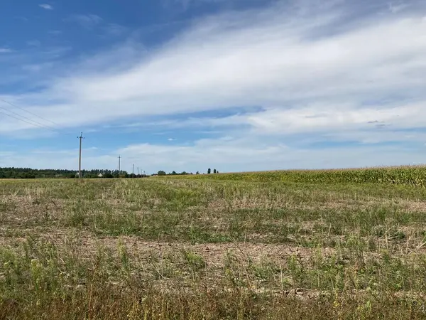 Hasattan sonra bir tarlanın manzarası