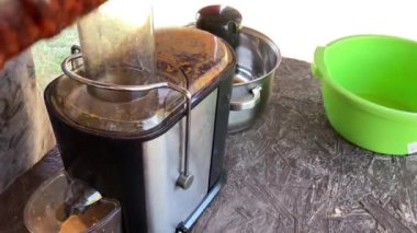 Böğürtlenlerden deniz dikeni suyu üretimi