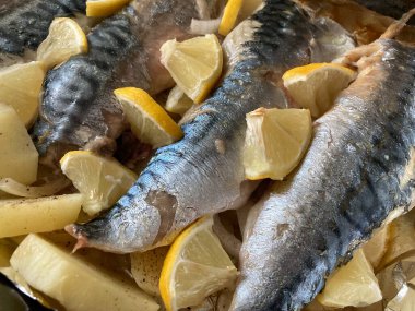 Fırında uskumru. Balık.