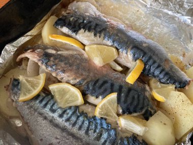 Fırında uskumru. Balık.
