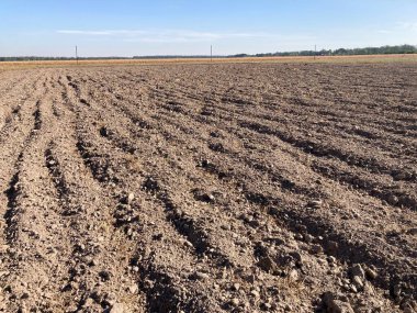 Sonbaharda hasattan sonra sürülen tarlalar