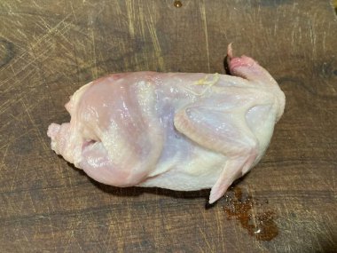 Kuş leşleri, bıldırcın ve tavuk.