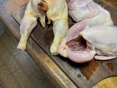 Kuş leşleri, bıldırcın ve tavuk.