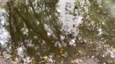 Şehirde yağmurdan sonra asfaltta su birikintileri