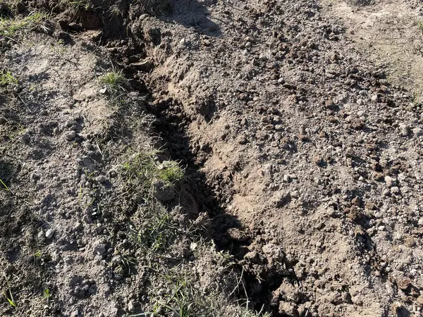 Bir seraya elektrik kablosu kurma sürecini yakalayan bir görüntü, aydınlatma, ısıtma ve ekipman için güç sağlıyor.