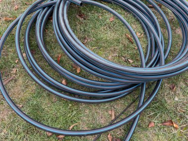 Bahçe hortumu canlı bir sebze bahçesini sular. Büyüyen bitkilerin sıralarına gerekli suyu sağlar. Bu görüntü, sağlıklı ve verimli bir bahçe yetiştirmeye yarayan araçları ve özeni yakalar.