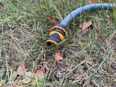 Bahçe hortumu canlı bir sebze bahçesini sular. Büyüyen bitkilerin sıralarına gerekli suyu sağlar. Bu görüntü, sağlıklı ve verimli bir bahçe yetiştirmeye yarayan araçları ve özeni yakalar.