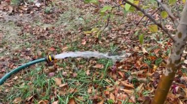 Bahçeyi hortumla sulamak.