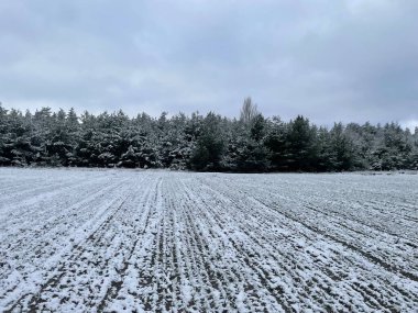 A vast snowy field stretching towards the horizon, blanketed in pristine white snow. clipart