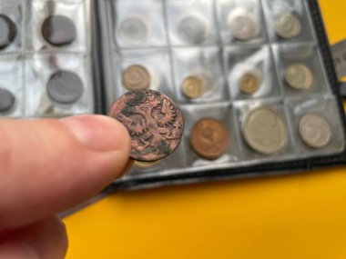 KYIV, UKRAINE - 14 Şubat 2025: Eşsiz tasarımlar, tarihsel önem ve kültürel miras sergilenen çeşitli ülkelerden bozuk para koleksiyonu.