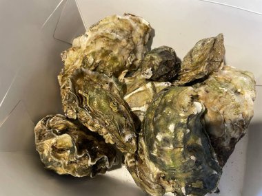 Ezilmiş buz üzerinde servis edilen taze çiğ istiridyeler, sıklıkla limon parçaları, otlar ve soslarla birlikte..