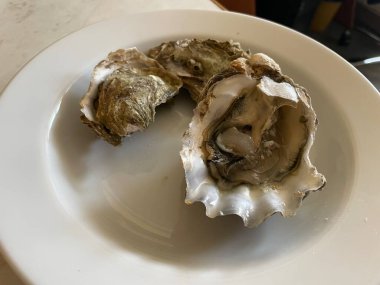 Ezilmiş buz üzerinde servis edilen taze çiğ istiridyeler, sıklıkla limon parçaları, otlar ve soslarla birlikte..