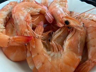 Temiz beyaz bir seramik tabağa kaynamış karides yakın plan. Servise hazır taze deniz ürünleri, yemek pişirme, gastronomi, menü tasarımı ve sağlıklı beslenme kavramları için harika..